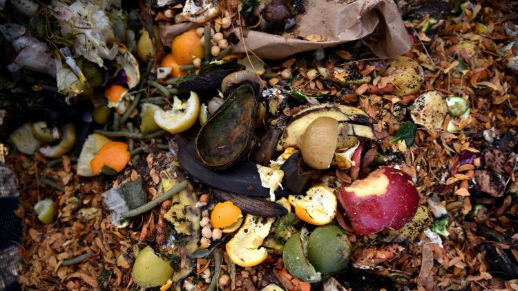A new ‘OK Compost’ certified label material for thermal applications from Avery Dennison.