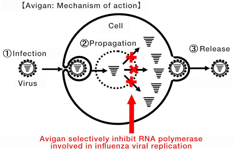 fujifilm avigan mechanism 002