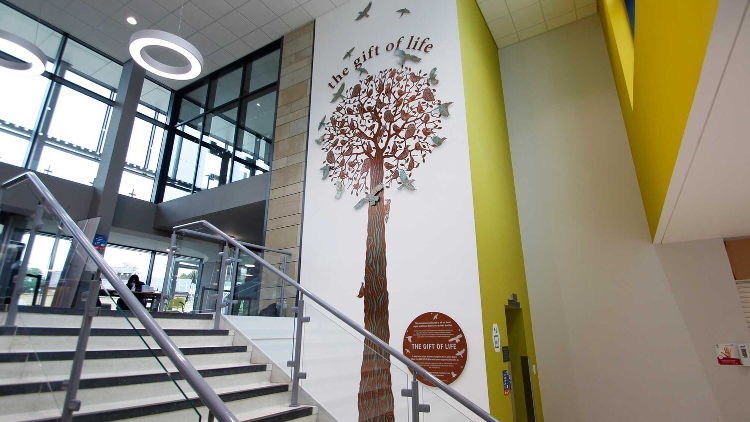 Imageco create impressive Yorkshire Wall Sculpture at Bradford Royal Infirmary.