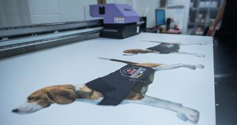 Mimaki beagles LFR