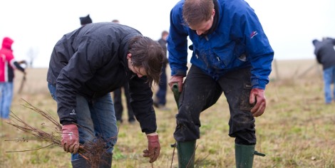 Premier plans to take 200 people to help assist with the tree planting, comprising of a mixture of staff and customers, with the event scheduled to take place on the 24th November at the Woodland Trust-owned Heartwood Forest in Hertfordshire.